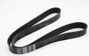 504049426_V - BELTS